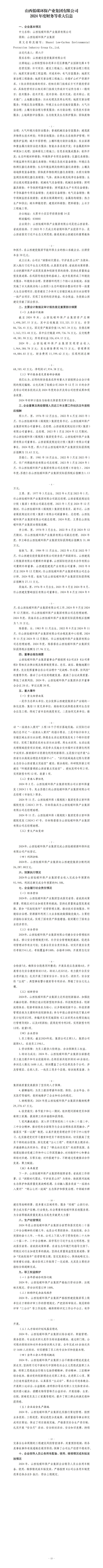 山西低碳环保工业集团有限公司及子公司2024年度财务等重大信息-402cc永利集团