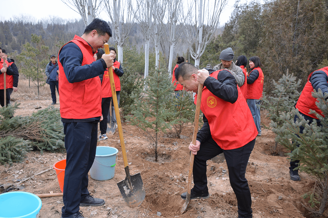 山西建投四建集团开展植树节主题活动-402cc永利集团