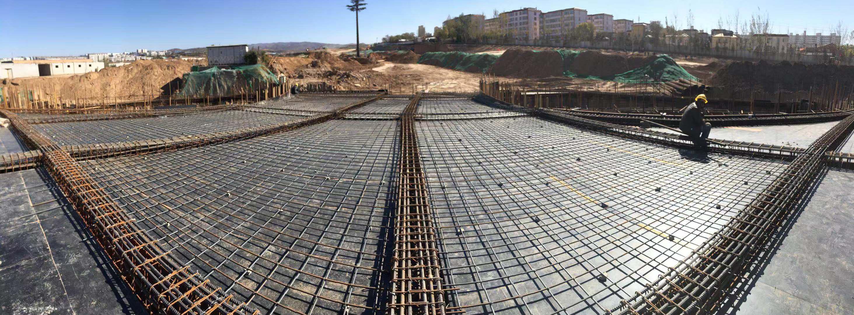 太原动物园结构最重大馆舍喜封金顶——山西建投建工集团打造新熊猫馆-402cc永利集团
